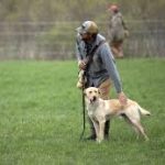 images - 2025-11-06T190150.366