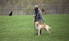 images - 2025-11-06T190150.366